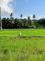 Surfside Paddy Villa - B&B
