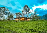 Viriparai Tea Bungalow Munnar by VOYE HOMES - Ferienwohnung