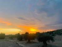 Renbeck lets 1 - Chambres d’hôtes Urcal