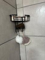 Studio mit Queensize-Bett