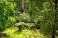 Millers Rest - B&B