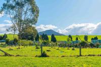Lush Escape - Lake Taupo Holiday Home - Bed and Breakfast
