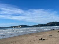 Hosts on the Coast Make Memories on Cook - B&B Whitianga