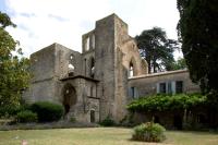 Abbaye De Villelongue - B&B Saint-Martin-le-Vieil