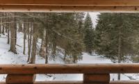 Casa Montana - Ferienwohnung Kopaonik