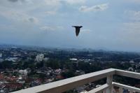 PaRes Apt 2BR Unit 2 by eRJe - B&B Bandung