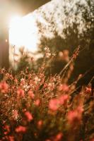 Villa Del Sole Inn - B&B Campobasso