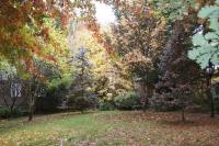 Chalets Lumineux - B&B Bright