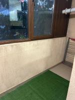 Natalieva Apartment - Ferienwohnung Popeşti-Leordeni