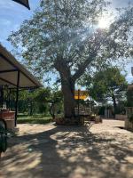 Cottage Dell' Ulivo - Ferienwohnung
