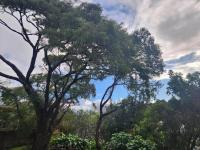 Mt Eden Kingsland At the heart of it all - Ferienwohnung Auckland