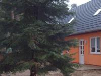 Ferienhaus Jägerswalde - B&B