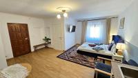 Studio with Sofa Bed
