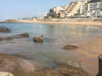 94 Camarque - Seaside Serenity - B&B eMdloti