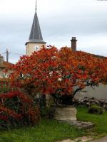atypique le Saloon du Vermois - B&B