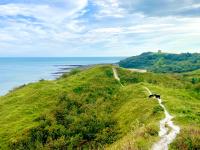 East Cliff Folkestone Guest Suite With Own Entrance - B&B Folkestone