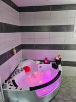 Villa avec baignoire balnéo véranda & jardin - Ferienwohnung Cornebarrieu