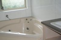 Bandicoot 21 - B&B Albany