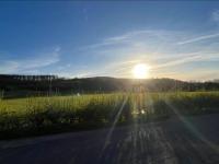 South Downs Haven nr Petersfield and Goodwood - B&B