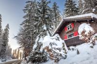 Le Petit Rêve - Lac de Montriond - Ferienwohnung
