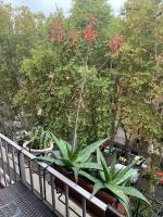 Tiziano apartment-a spacious home for you in Rome - B&B Roma