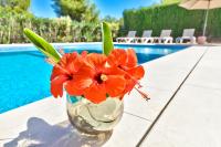 Villa Hibiscus - A modern villa for 10 guests - Ferienwohnung Xàbia
