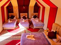 Exceptional Luxury Camp - Chambres d’hôtes