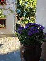 Appartement 5 Predigergasse - B&B Bautzen