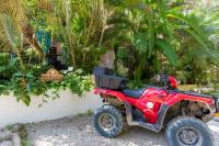 Namaste Beach Bungalow 1 BDR Loft 4 Min to Beach - Bed and Breakfast Nosara