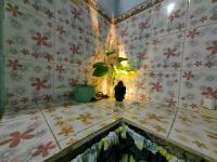 IjenBromo Hub Omyah Isun Hub - B&B Ketapang