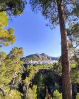 Casa Isabella by Apartments4you - B&B