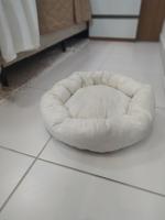 MAKIA BEACH EXPERIENCE I Um lar no litoral - B&B Ipojuca