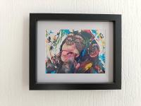 La fosse aux singes - 5 min de la Fosse Dionne - B&B Tonnerre