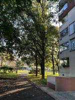 Appartement près de Paris et Disneyland - Chambres d’hôtes