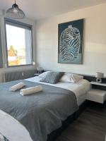 Duplex 65m2 lumineux avec vue sur le chateau 3 étoiles - B&B Montbéliard