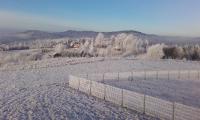 Zrubová Chata Sylvester - B&B