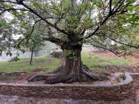 Mevak Home Alpujarra - B&B Pórtugos
