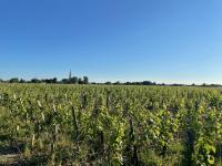 L'Amphore du clos de Bigos - Ferienwohnung Soussans