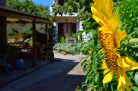 Zaira Studios - B&B Skála Eresoú