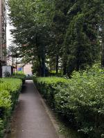 Alberta Apartments - B&B Braşov