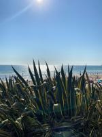 Casa Solace - B&B Almada