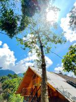 The cosy nest of happiness! - B&B Lào Cai