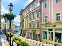 Apartmány MÚDRA SOVA - Ferienwohnung