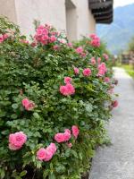 Condominio Le Dolomiti - B&B Forni di Sotto