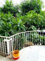 Entire House 6 people 3Beds 2Baths near BTS Asoke Terminal21 - B&B Bangkok