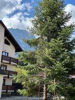 The View Studio Busteni - B&B