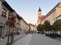 Apartman Hviezdoslavova - B&B Trnava