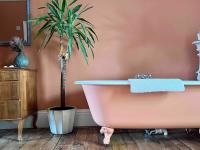 Spacious Georgian Apartment - Central Frome - B&B Frome