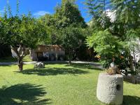 Garden apartments Ischia super centrale - B&B