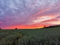 Kings Cottage - Heart of the Deverills - EV Point - B&B Warminster